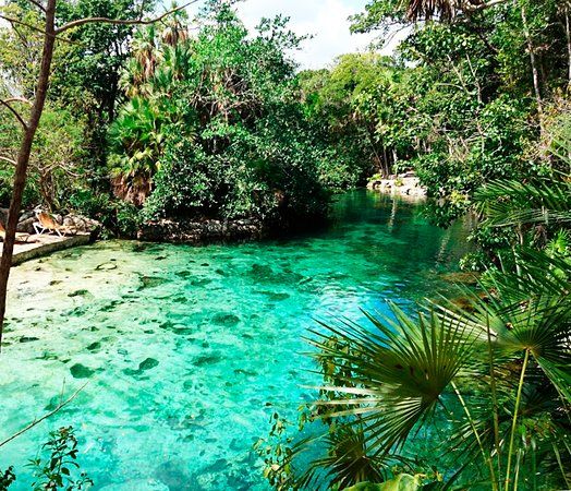 el Cenote Yax Kin Camping